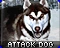 Боевая собака (Attack dog)